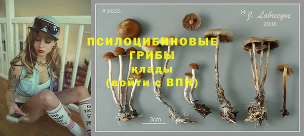 спайс Горнозаводск