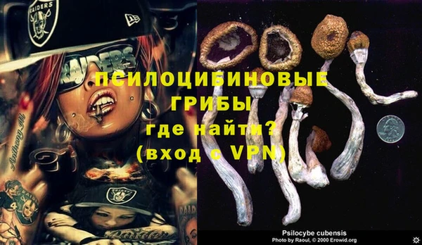эйфоретик Горно-Алтайск