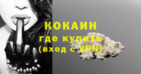 твердый Горняк