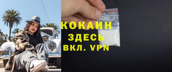 твердый Горняк