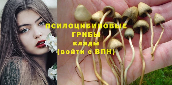 твердый Горняк