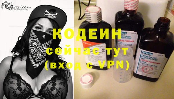 твердый Горняк