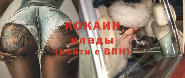 твердый Горняк