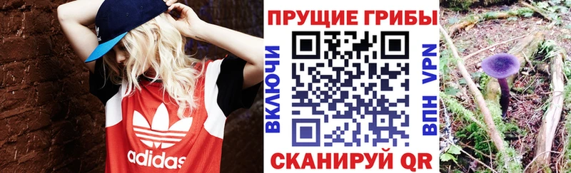 купить  цена  Чусовой  Галлюциногенные грибы мухоморы 